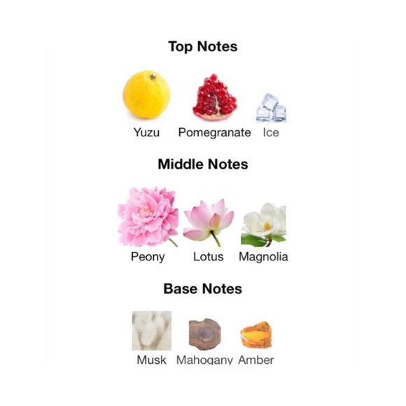 VERSACE Dylan Purple & Bright Crystal Eau de Parfum Duo - .17 fl oz ea. … - Picture 8 of 10